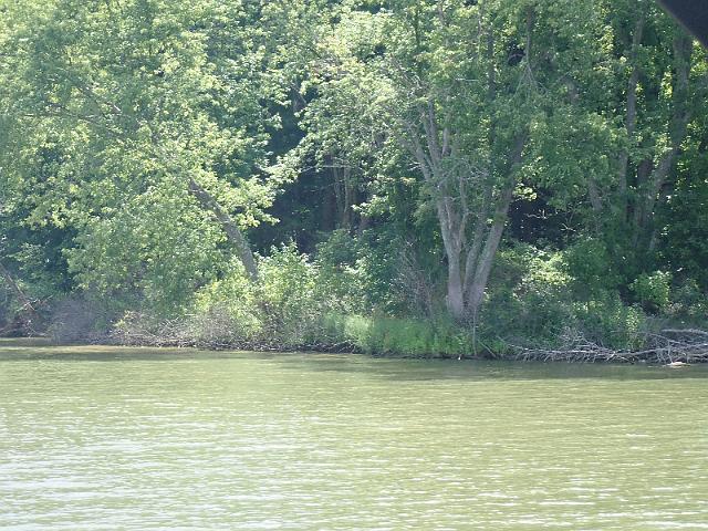 P8030044.JPG
