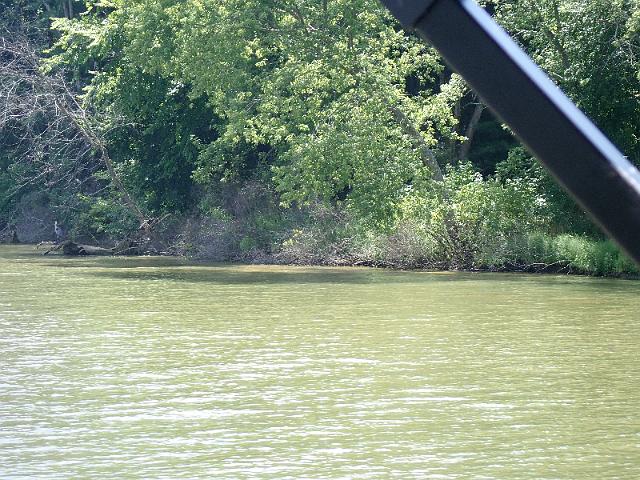 P8030045.JPG