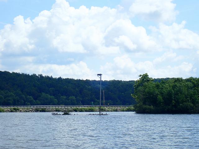 P8030047.JPG
