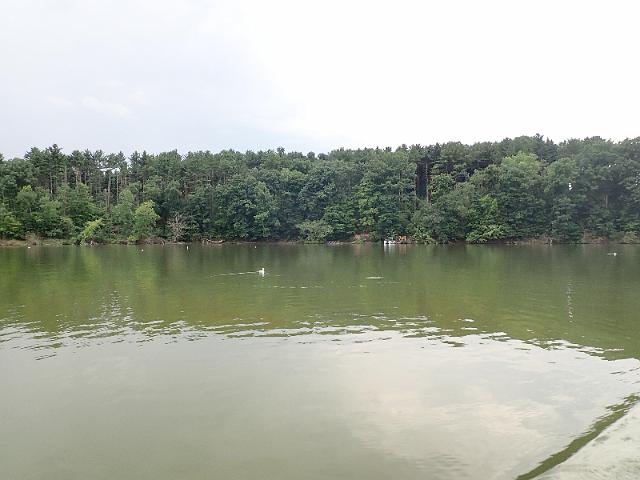 P8030100.JPG