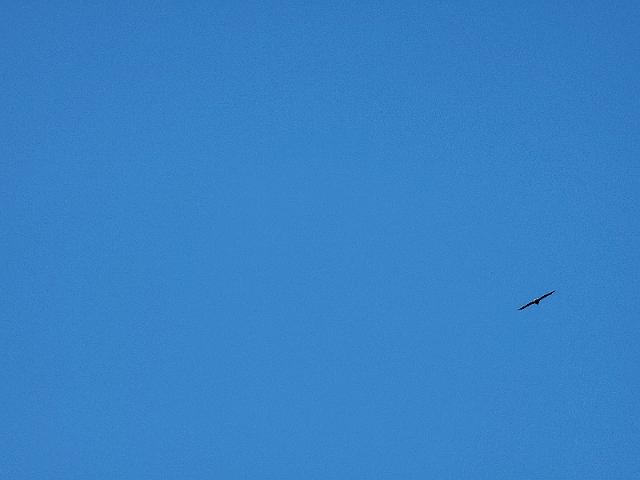 20210820_164822.jpg
