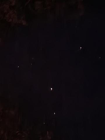 20220530_235505.jpg