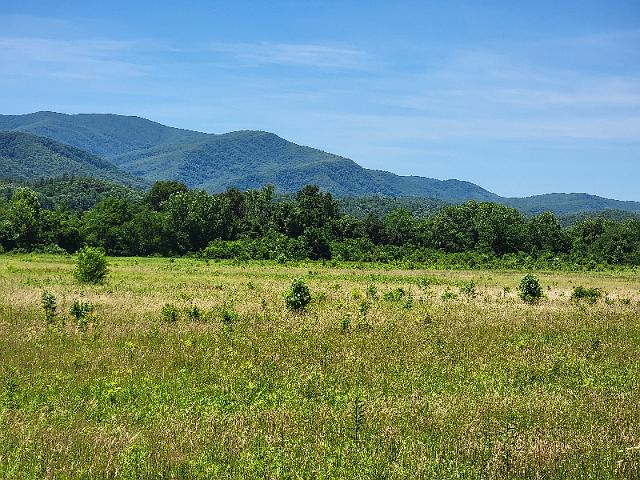 20220619_125231.jpg