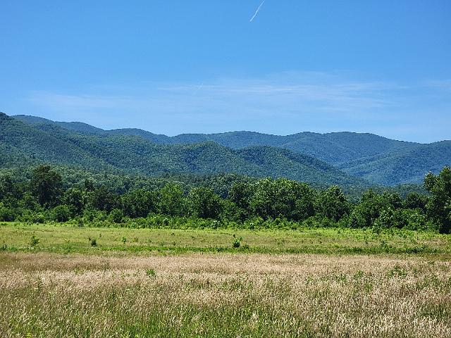 20220619_125328.jpg