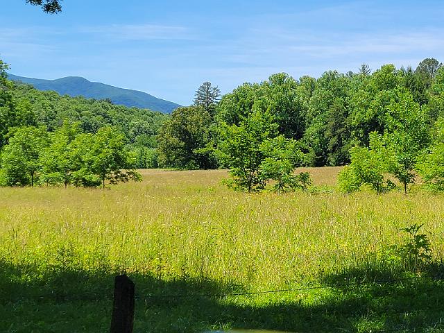 20220619_125722.jpg