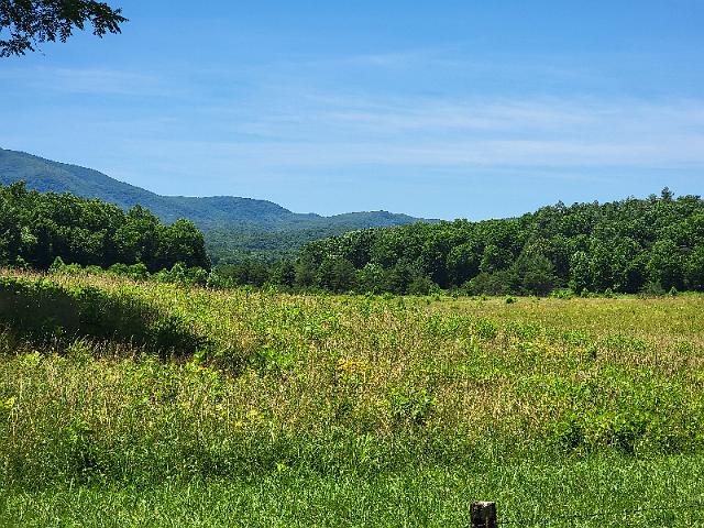 20220619_130007.jpg