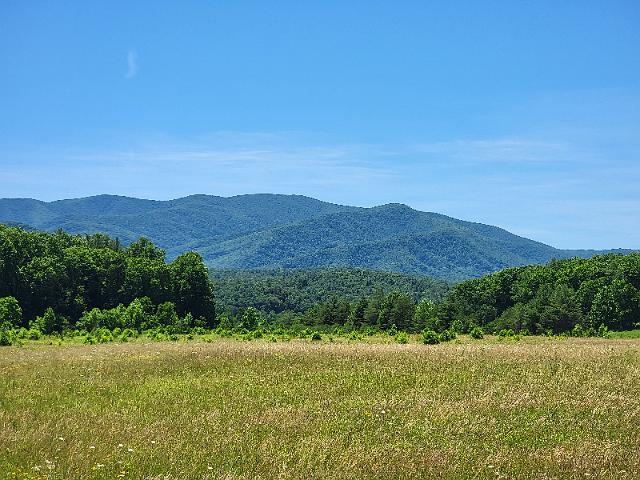 20220619_130040.jpg