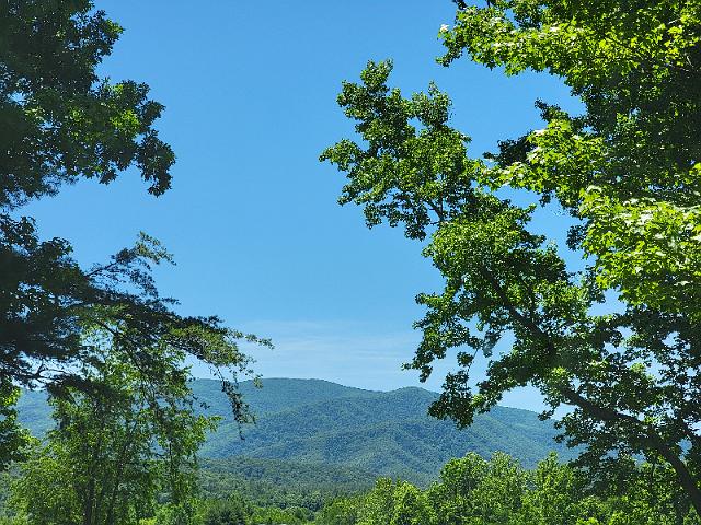 20220619_130353.jpg