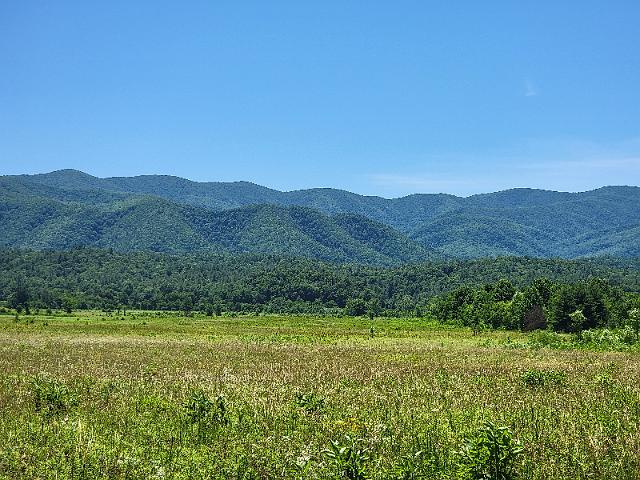 20220619_130614.jpg