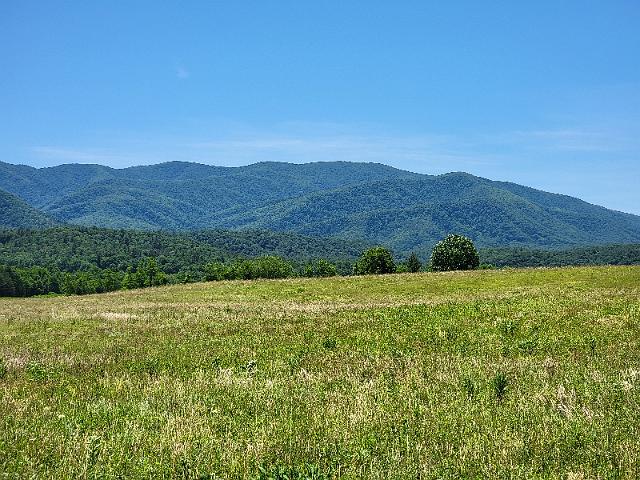 20220619_130832.jpg