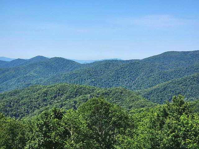 20220620_114150.jpg