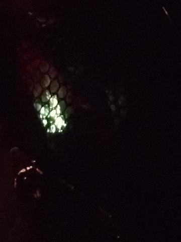 20220620_234037.jpg