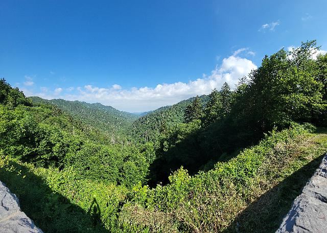 20220622_095524.jpg