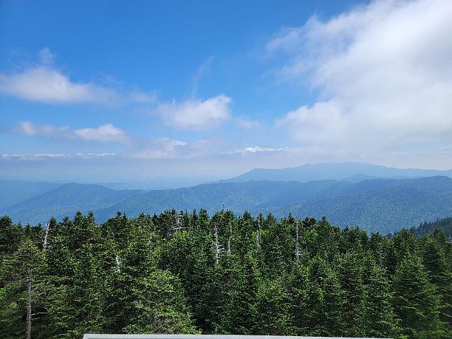 20220622_110154.jpg