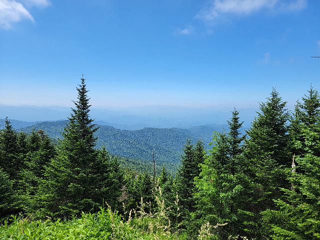 20220622_111119.jpg