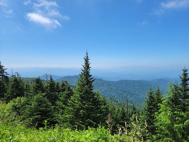 20220622_111123.jpg