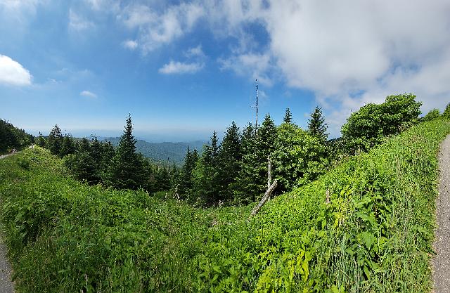 20220622_111132.jpg