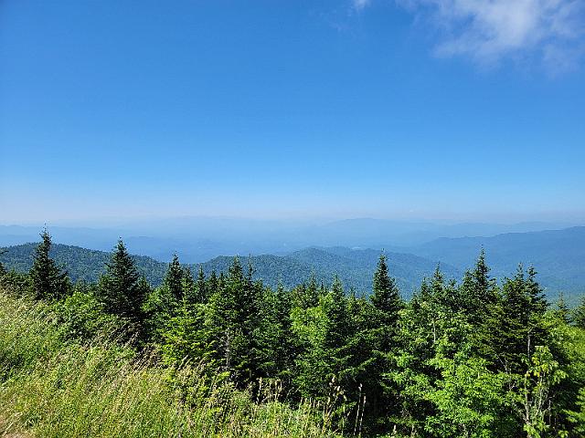 20220622_113609.jpg
