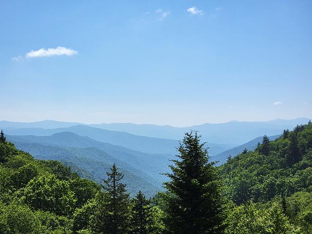 20220622_115812.jpg