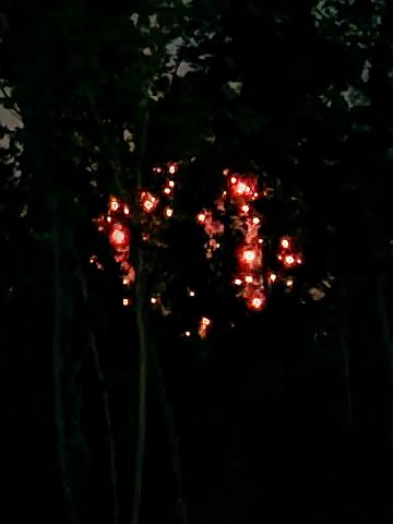 20220622_215201.jpg