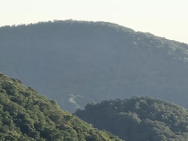 20220623_200801.jpg