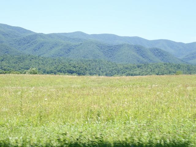 P6190110.JPG