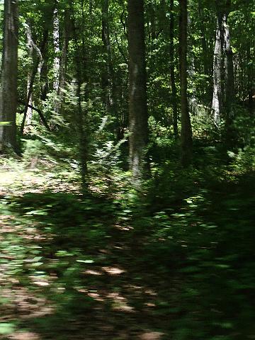 P6190137.JPG