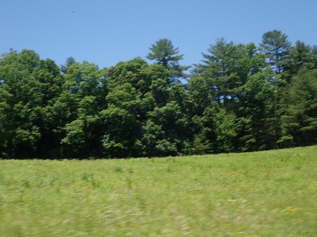 P6190150.JPG