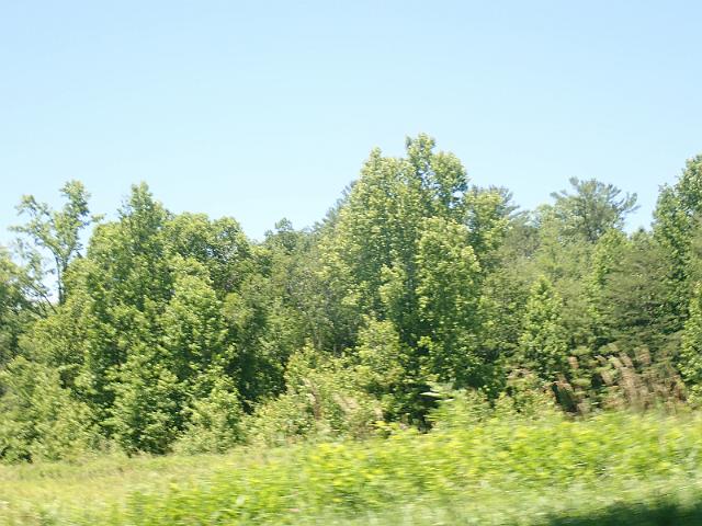 P6190158.JPG