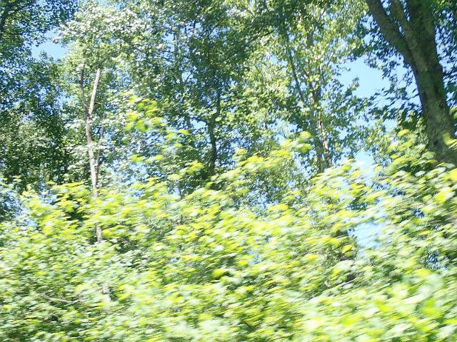 P6190165.JPG