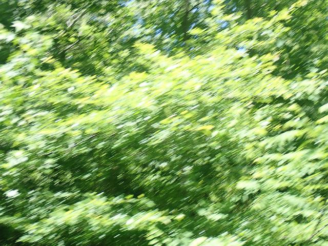 P6190168.JPG