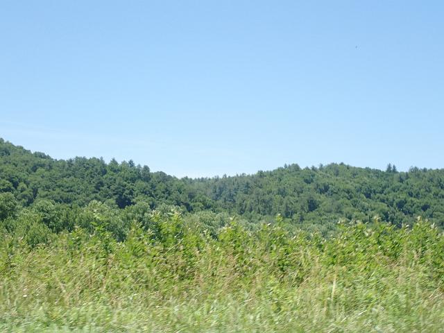P6190174.JPG