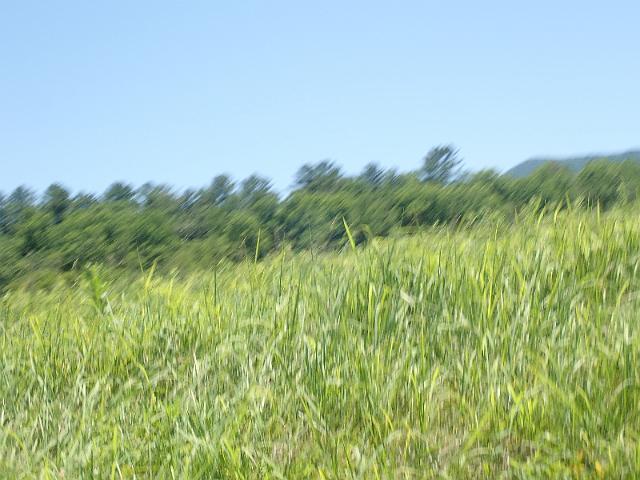 P6190178.JPG