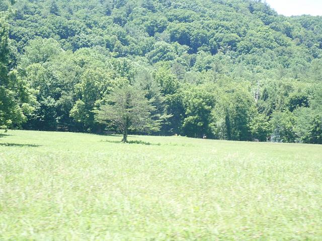 P6190191.JPG