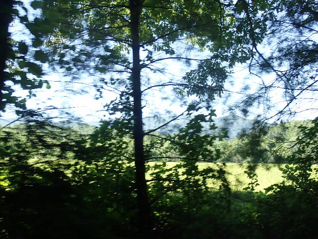 P6190197.JPG
