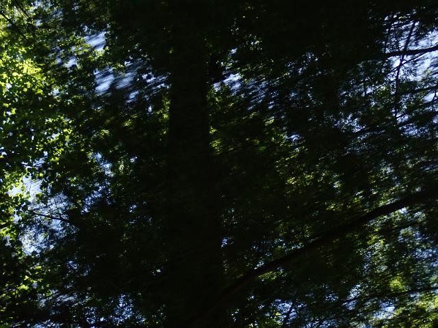 P6190206.JPG