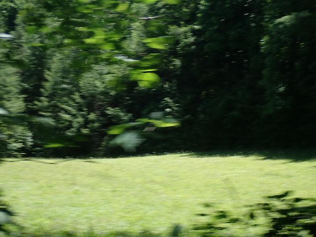 P6190217.JPG