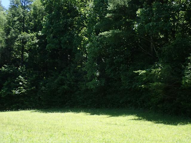P6190218.JPG