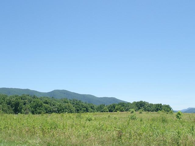 P6190240.JPG