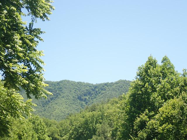 P6190265.JPG