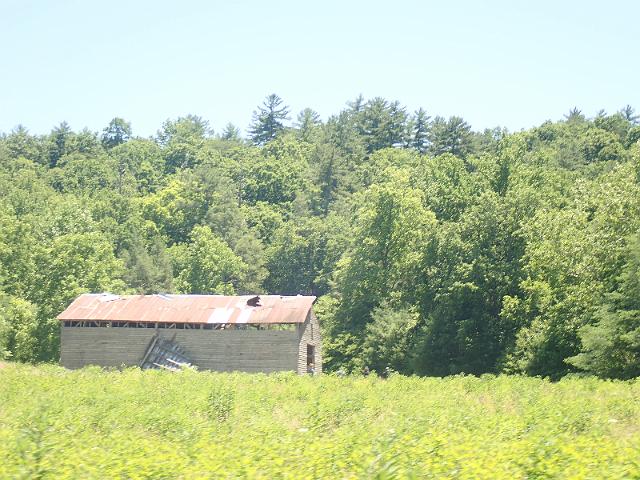 P6190269.JPG