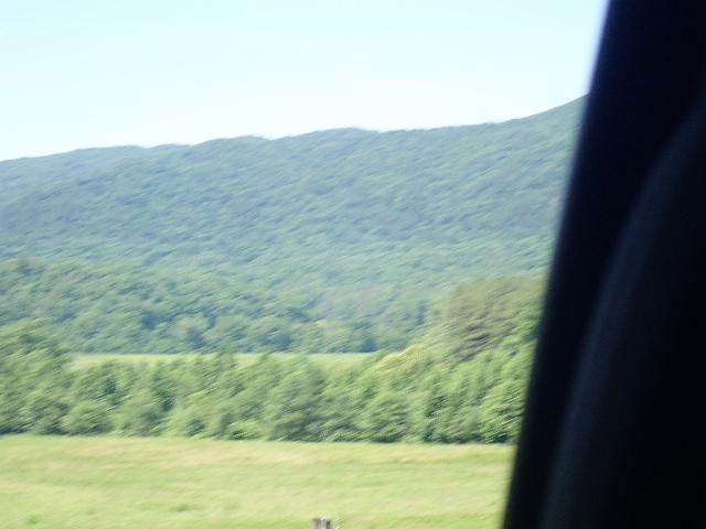 P6190298.JPG
