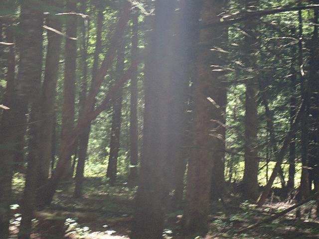 P6190303.JPG