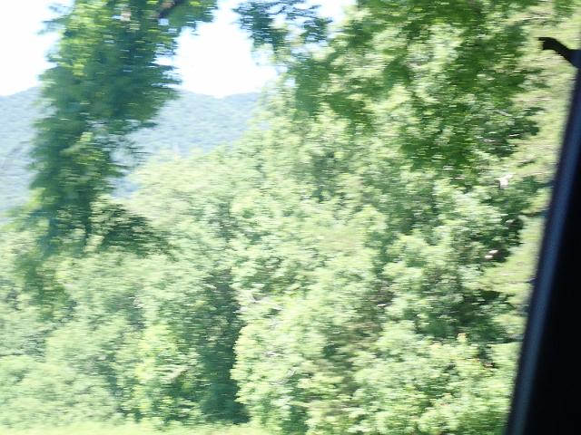 P6190306.JPG