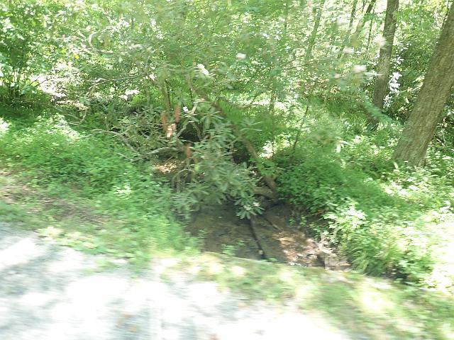 P6190324.JPG