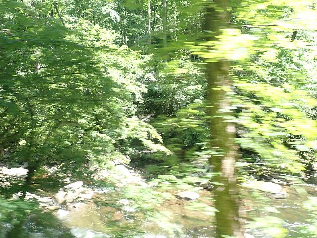 P6190325.JPG