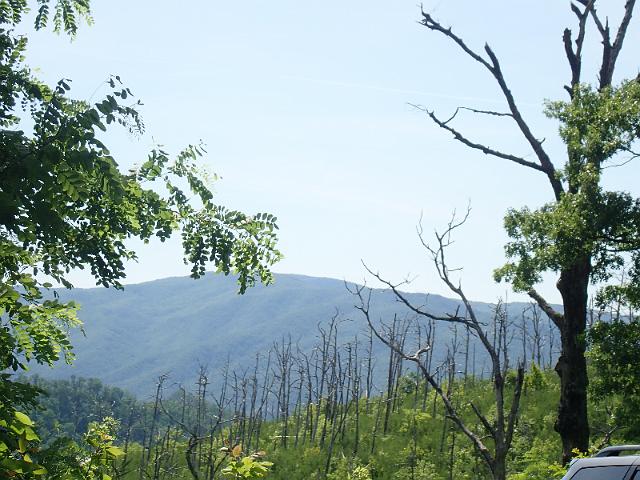 P6190338.JPG