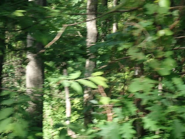 P6190340.JPG