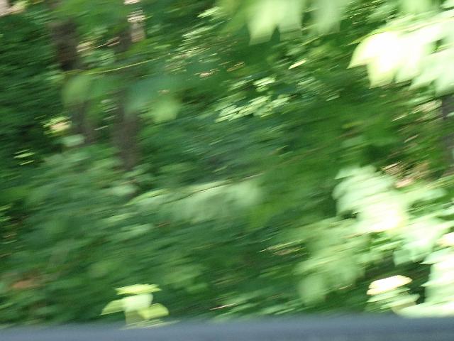 P6190341.JPG
