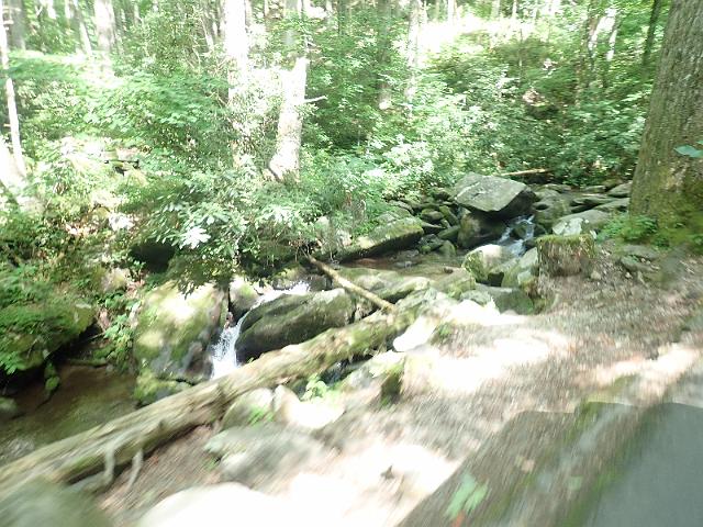 P6190343.JPG